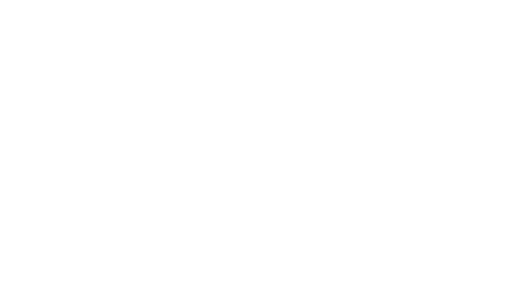 Echelon Risk and Cyber logo